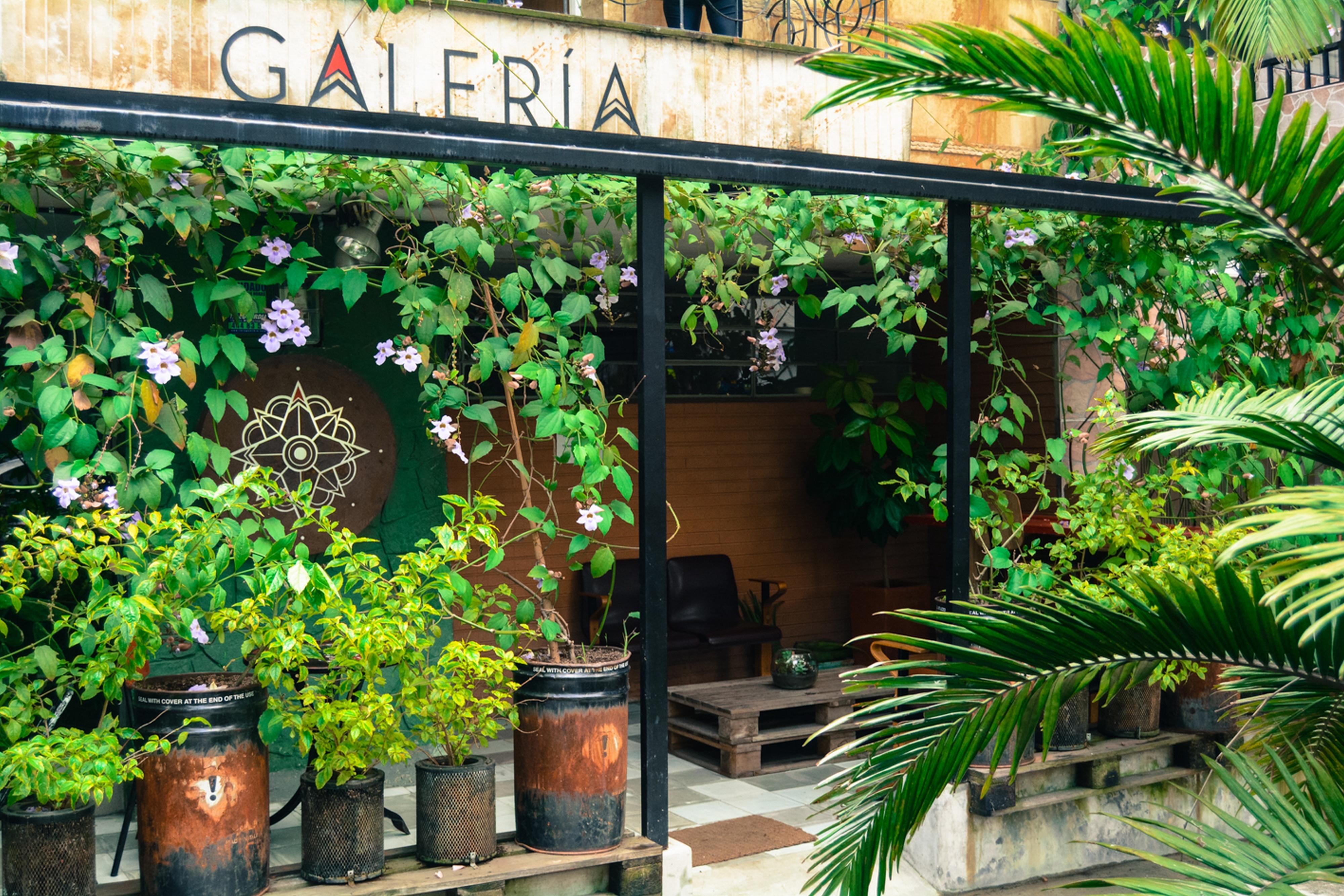 Casa Estación Hostal y Restaurante Medellín Exterior foto